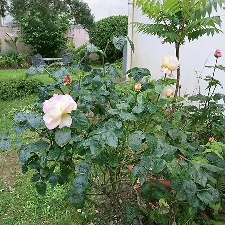 La Maison Des Roses * Nantes
