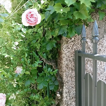 Holiday home La Maison Des Roses